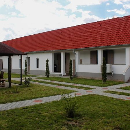 Das Blaue Haus Guesthouse - Kovacshida ภายนอก รูปภาพ